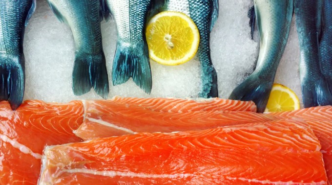 ماهی سالمون (آزاد) و سایر ماهی‌های چرب (Salmon and other fatty fish)