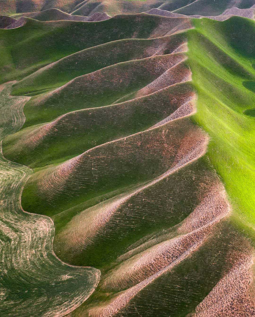 طبیعت زیبای ترکمن صحرا