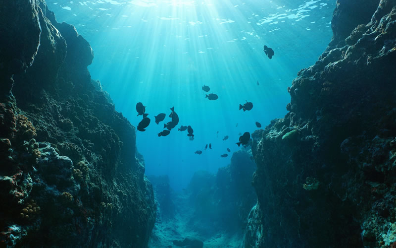 اقیانوس‌ها: ۸۰ درصد ناشناخته