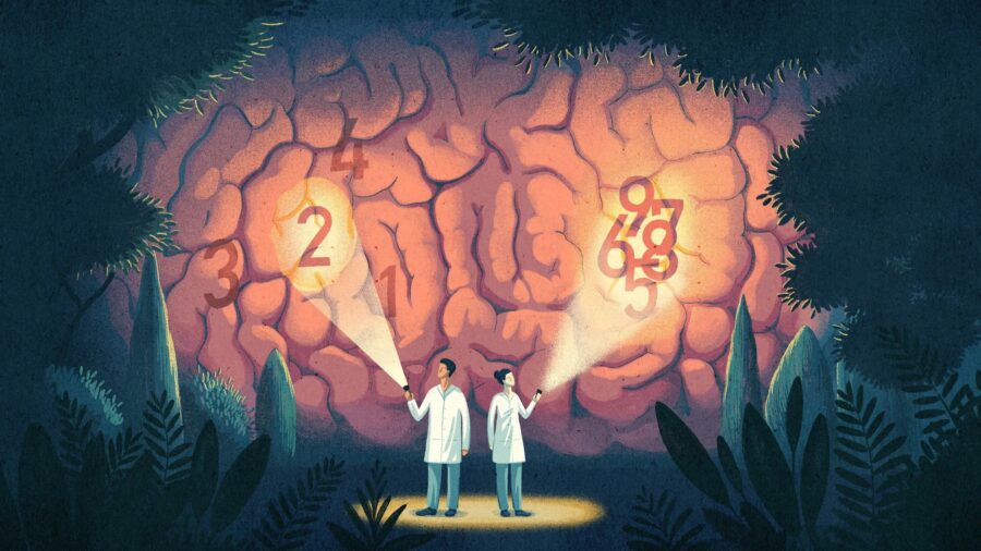 چرا اعداد کوچک برای مغز انسان قابل درک‌تر هستند؟