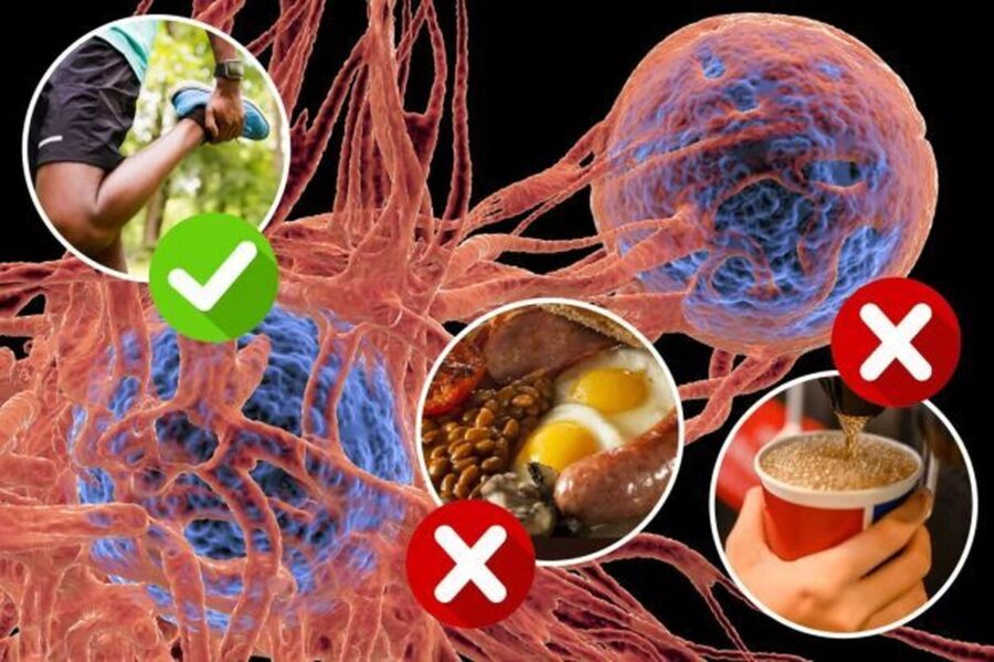هفت تغییر ساده در روند زندگی برای کاهش خطر ابتلا به سرطان