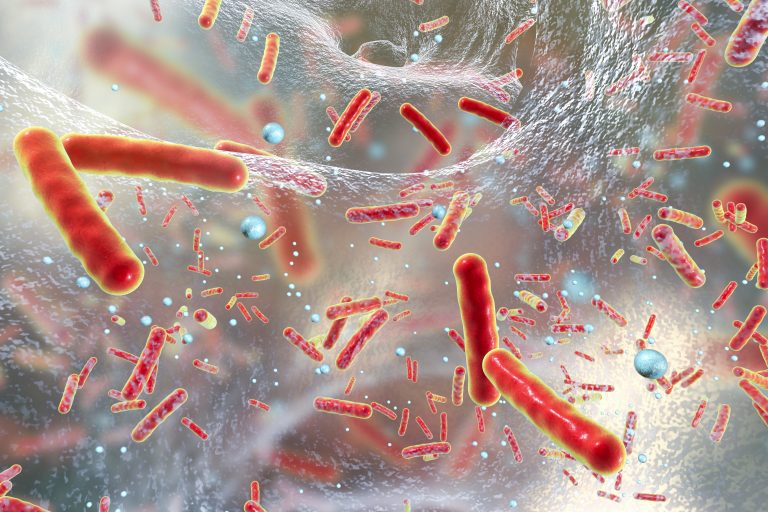 مقاومت باکتری به آنتی‌بیوتیک: یک چالش زیستی بزرگ، بیشتر از ایدز و مالاریا به انسان آسیب می‌رساند!