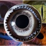 چشم‌های جانوران، دریچه‌ای به دنیاهای بیگانه