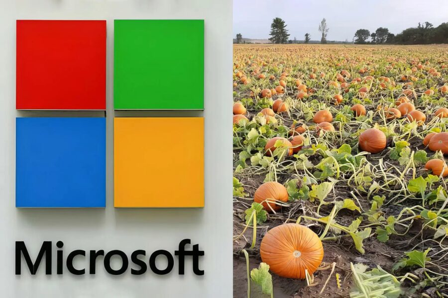 مایکروسافت با خرید مزرعه کدوتنبل در ویسکانسین، ۷۶ میلیون دلار هزینه کرد.