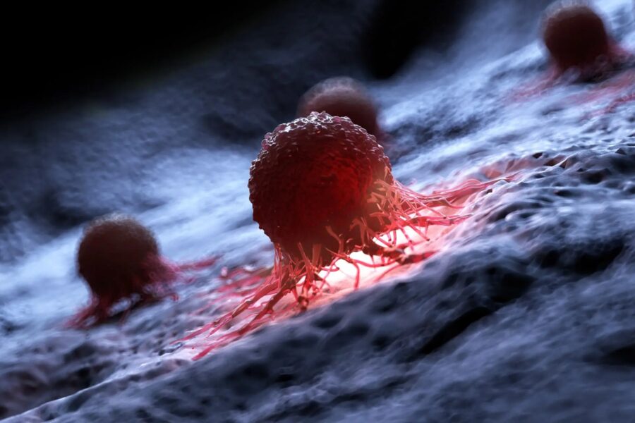 «چکش مولکولی» امیدی جدید برای درمان سرطان