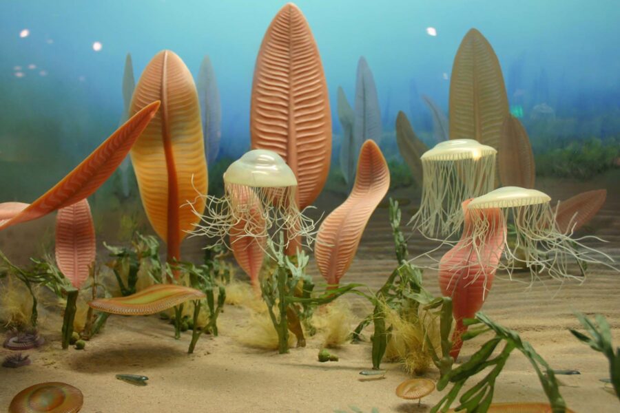 انقراض دسته جمعی دریایی، نتیجه افزایش گاز سمی