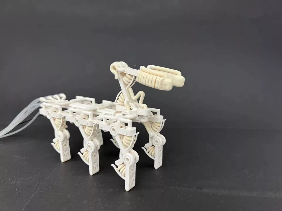 تازه‌ترین دستاورد: ابتکار دانشمندان در ساخت دستگاه رباتیک با استخوان، رباط، و تاندون