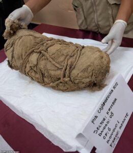 راز قربانیان کوچک: کشف ۶ مومیایی کودک در پرو
