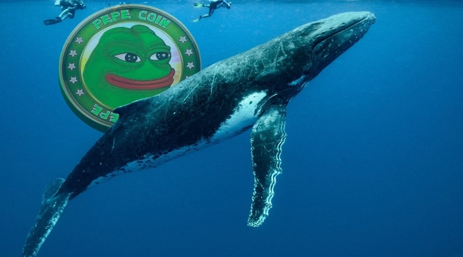 هجوم نهنگ‌ها به پپه - قیمت میم کوین محبوب به بالاترین سطح خود می‌رسد