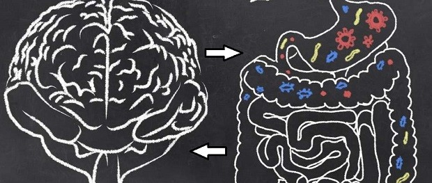 نقش پنهان میکروب‌ها در عملکرد مغز