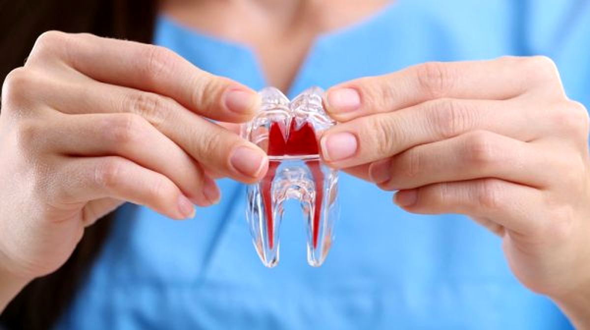  آزمایش بالینی داروی رشد مجدد دندان آغاز شد
