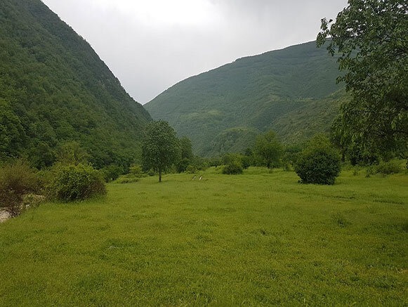 ۱۵ جنگل بهشتی در ایران: اکتشاف زیبایی‌های طبیعت