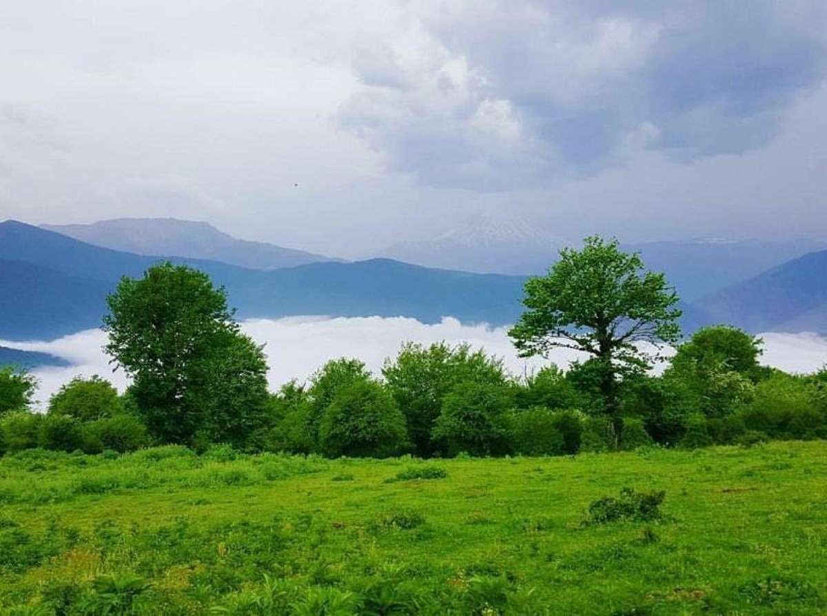 ۱۵ جنگل بهشتی در ایران: اکتشاف زیبایی‌های طبیعت