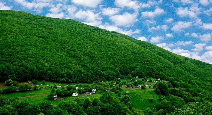 ۱۵ جنگل بهشتی در ایران: اکتشاف زیبایی‌های طبیعت