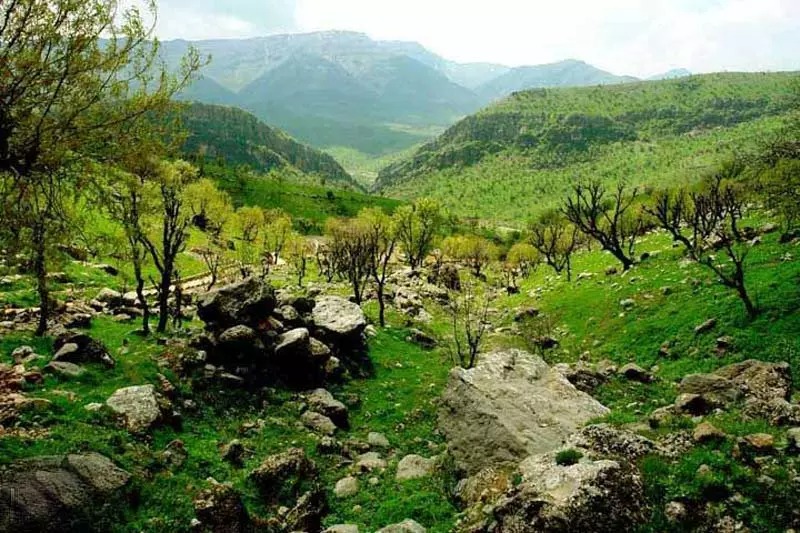 مسیری به سوی ناشناخته‌ها: سفر به مناطق بکر ایران