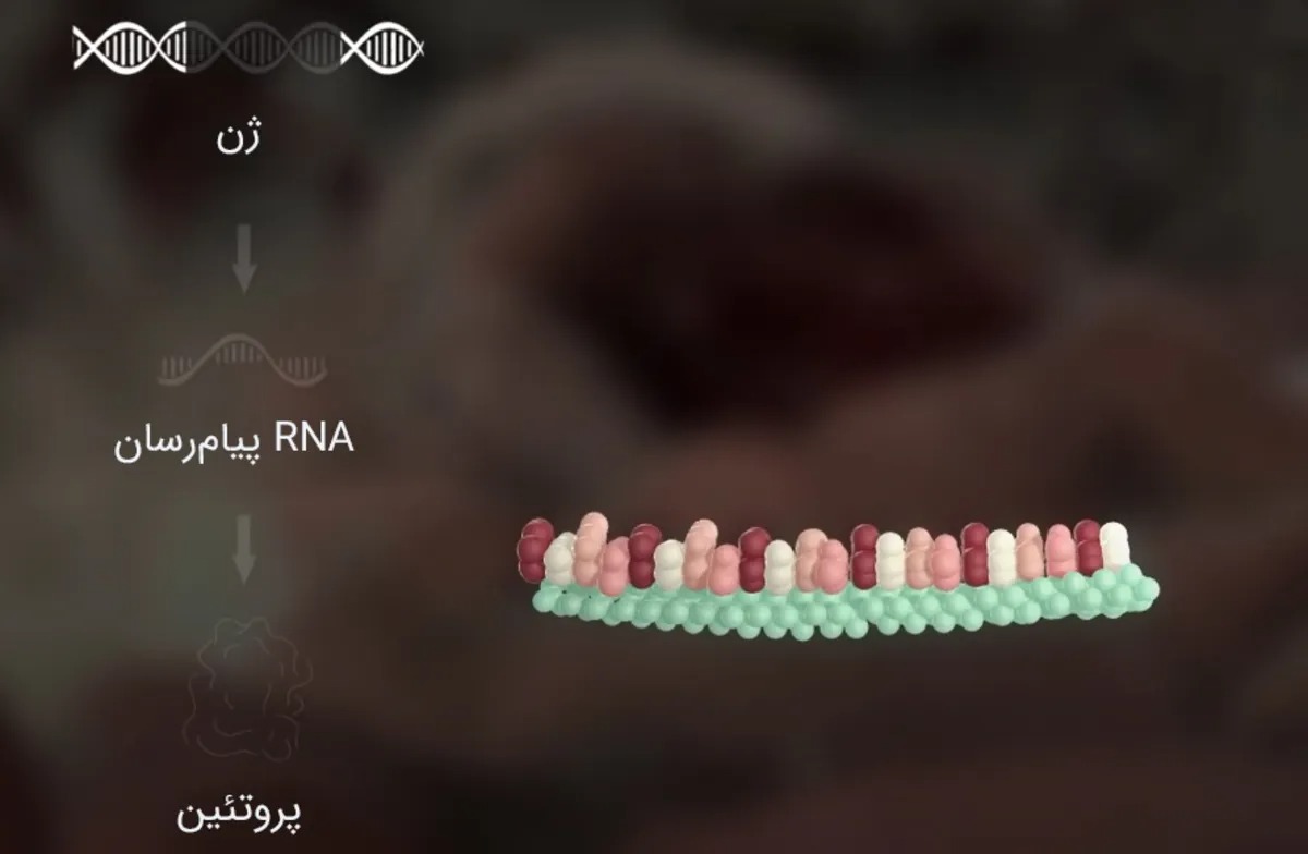 میکرو RNA‌ها: رهبران پنهان سلول‌ها