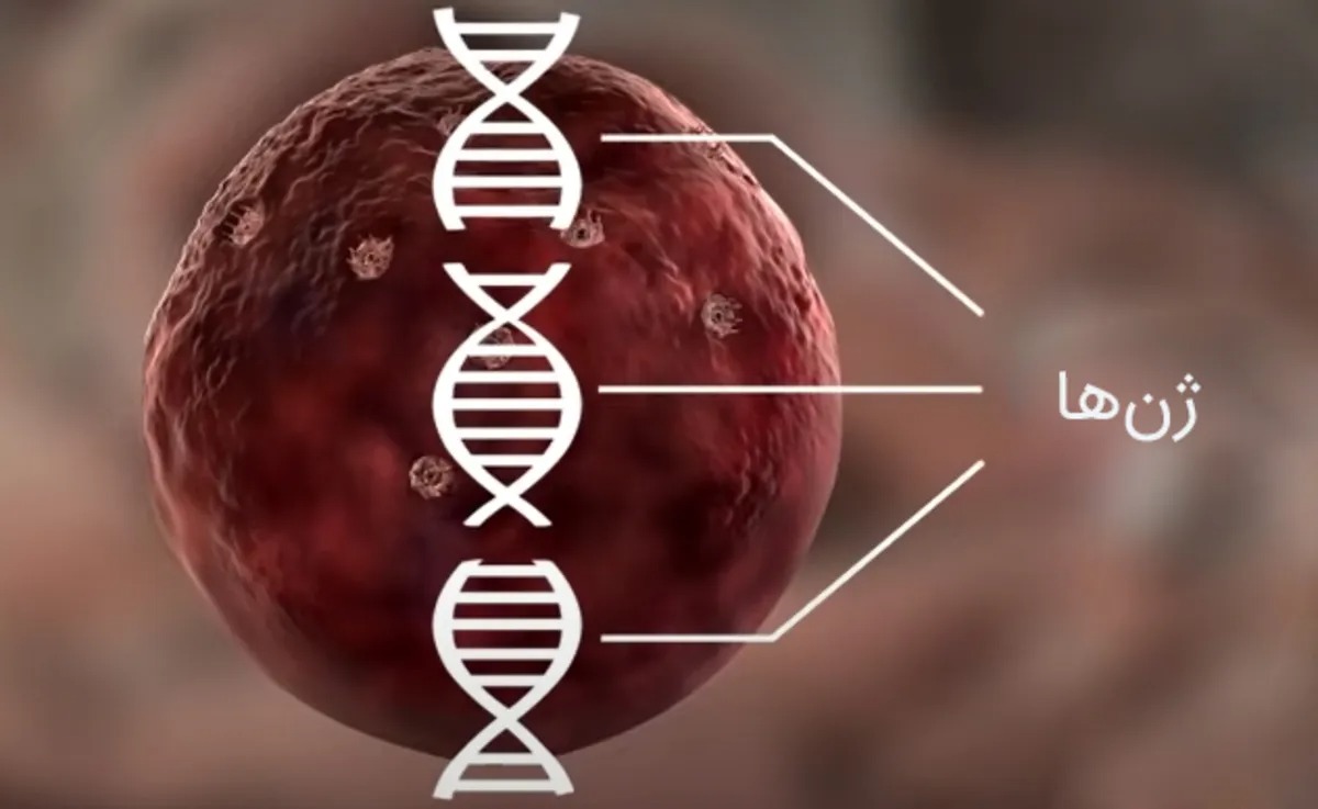 میکرو RNA‌ها: رهبران پنهان سلول‌ها