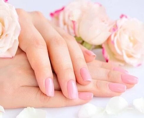 چرا ما میوه خشک را برای سلامتی ضروری می دانیم؟