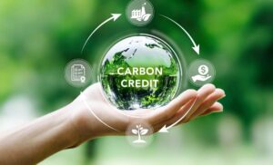 شکست اعتبار کربن؛ راه‌حل چیست؟