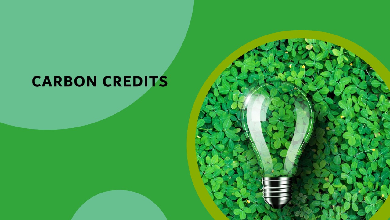 شکست اعتبار کربن؛ راه‌حل چیست؟