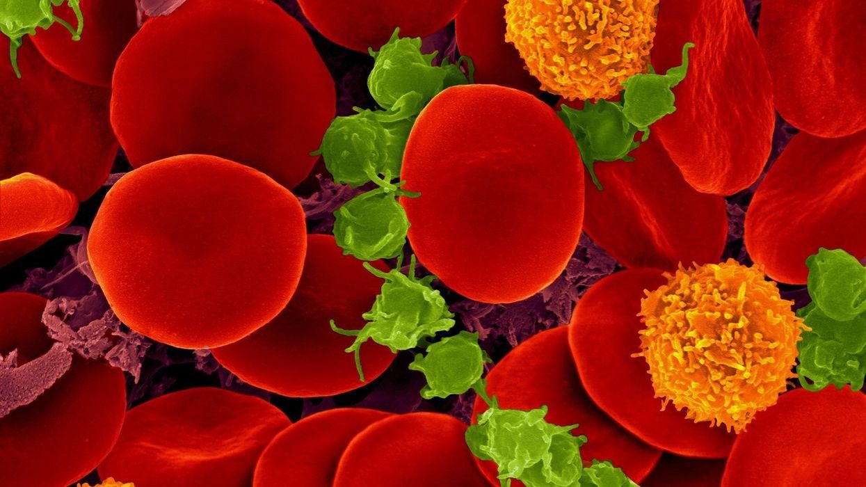 کشف حیات جدید در بدن انسان