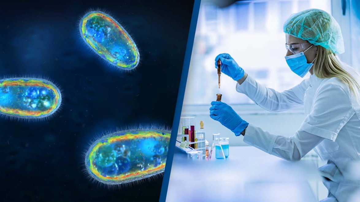 کشف حیات جدید در بدن انسان