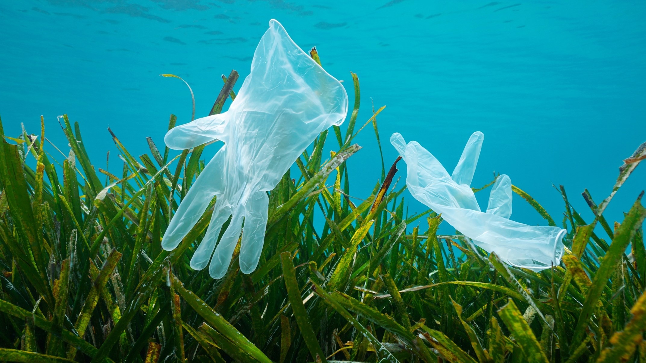 ریزپلاستیک در مناطق دریایی حفاظت‌شده