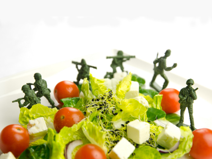 رژیم نظامی چیست؟