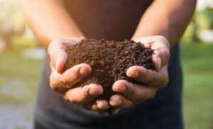 اقلیم و مقاومت آنتی‌بیوتیکی خاک