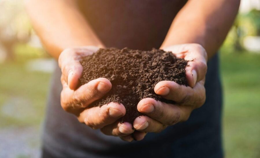 اقلیم و مقاومت آنتی‌بیوتیکی خاک