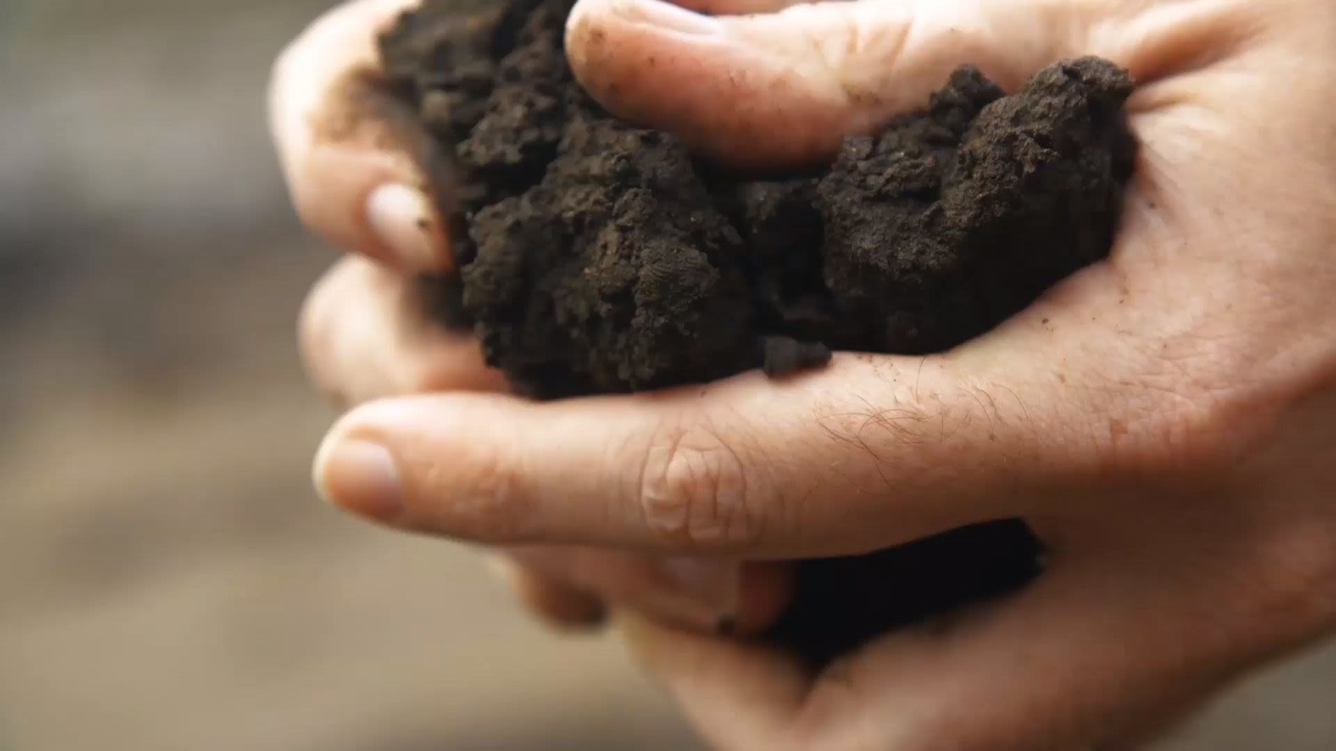 اقلیم و مقاومت آنتی‌بیوتیکی خاک