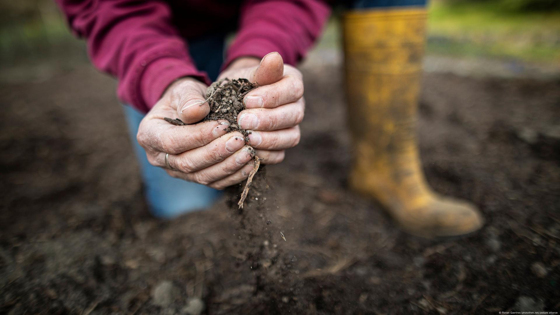 اقلیم و مقاومت آنتی‌بیوتیکی خاک