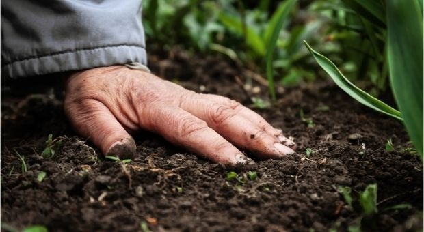 اقلیم و مقاومت آنتی‌بیوتیکی خاک