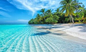 روز جهانی اقیانوس‌ها ۲۰۲۵: نگهبان زندگی