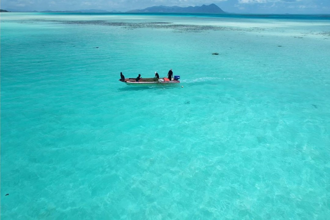 روز جهانی اقیانوس‌ها ۲۰۲۵: نگهبان زندگی