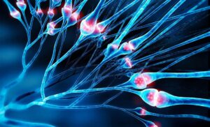 بازنگری در شکل سلول‌های مغز