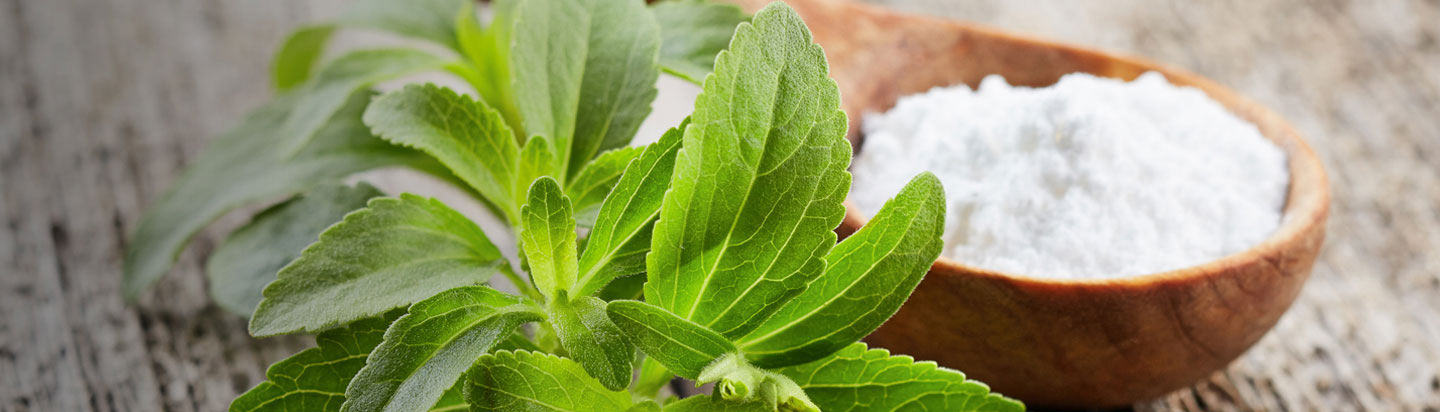 استفاده از استویای تخمیرشده برای درمان سرطان