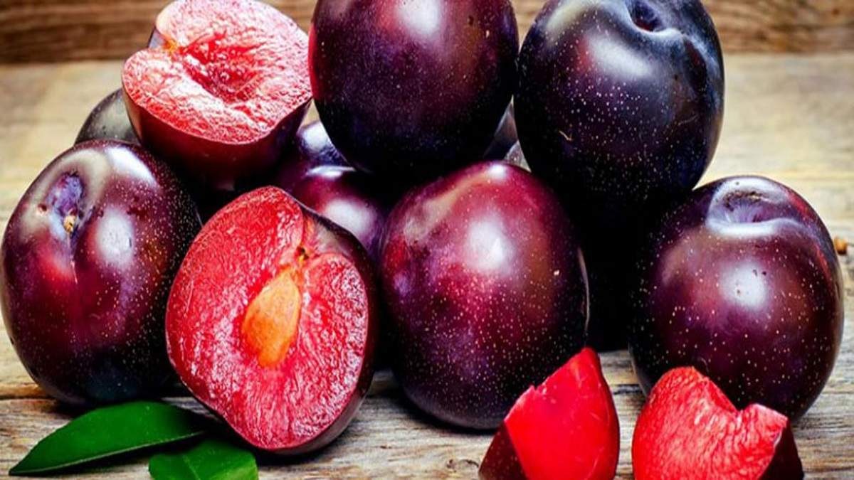 آلو؛ شاهکار طبیعت با 5 خاصیت شگفت‌انگیز و هشدارهای مهم برای مصرف ایمن