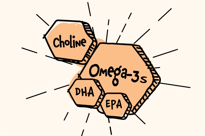 هم‌افزایی کولین و امگا-۳