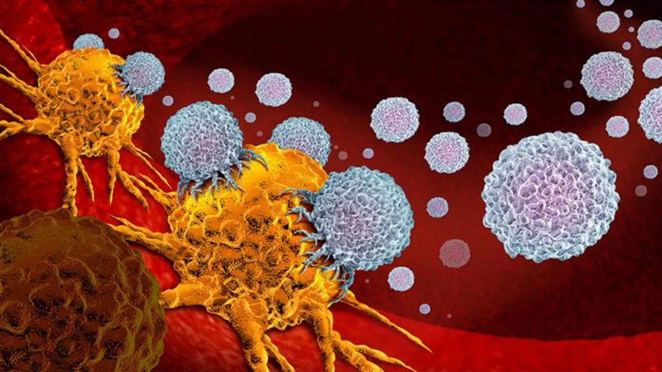 ترکیب قوی علیه سلول‌های سرطانی