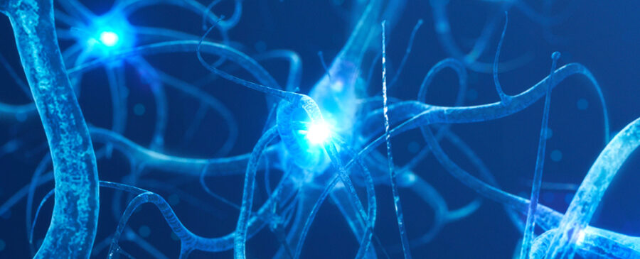 ۴ الگوی تأییدشده علمی که زنگ خطر آلزایمرند