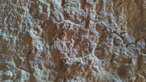 کشف بیش از ۲۰ کتیبه باستانی در نزدیکی تخت‌جمشید، شواهد سواد بالا