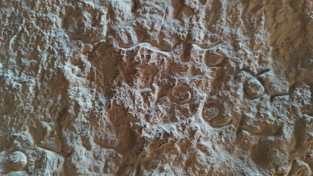 کشف بیش از ۲۰ کتیبه باستانی در نزدیکی تخت‌جمشید، شواهد سواد بالا