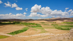 برنامه ملی ایران برای احیای ۲۰ میلیون هکتار مرتع در برابر بحران اقلیم