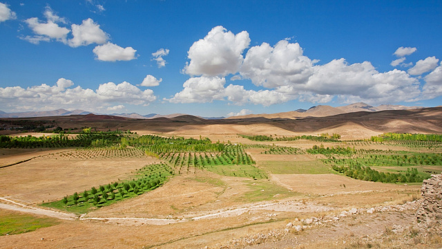 برنامه ملی ایران برای احیای ۲۰ میلیون هکتار مرتع در برابر بحران اقلیم
