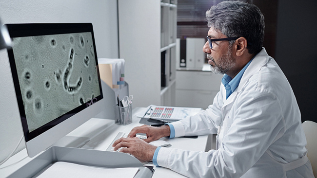 کشف فسیل زنده در قلب ایران، راز حیات ۲۰۰ میلیون ساله در اردستان