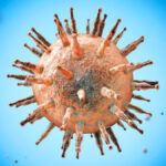 دانشمندان لوپوس را به رایج‌ترین ویروس مرتبط کردند