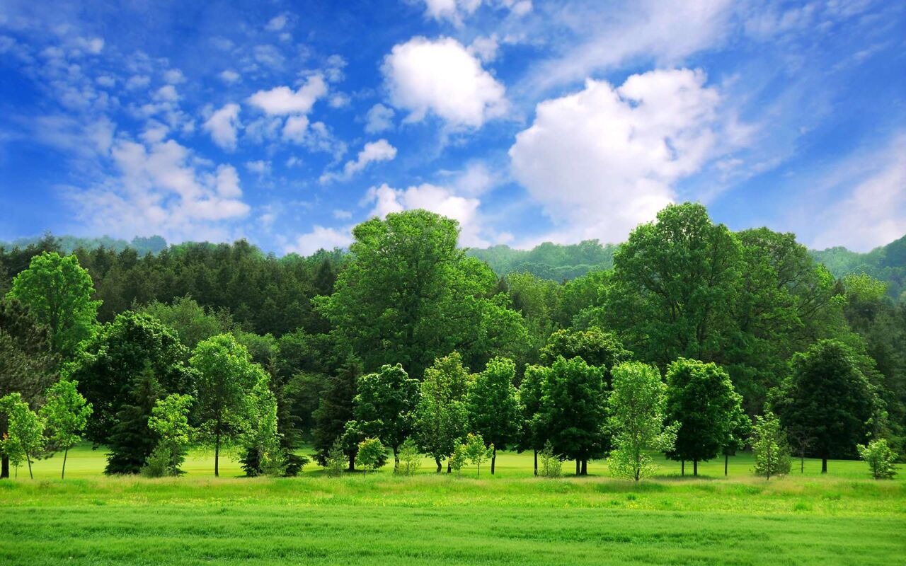 حضور در فضای سبز به بهبود الگوی تغذیه کمک می‌کند